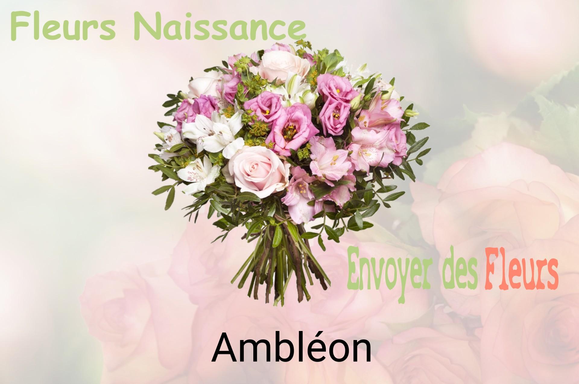 Bouquet de fleurs de naissance livré à Ambléon